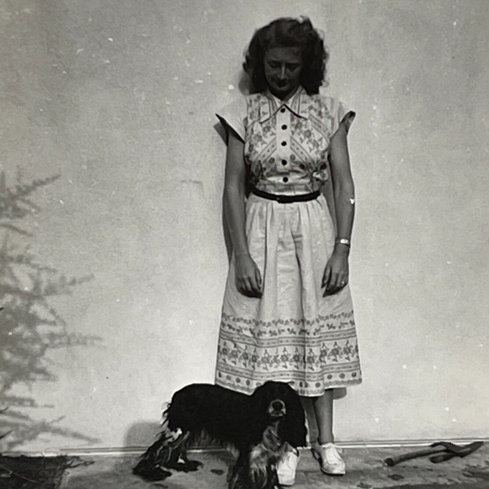 VA Photograph Pretty Woman Lovely Lady Dress Cocker Spaniel Dog 1940-50's 