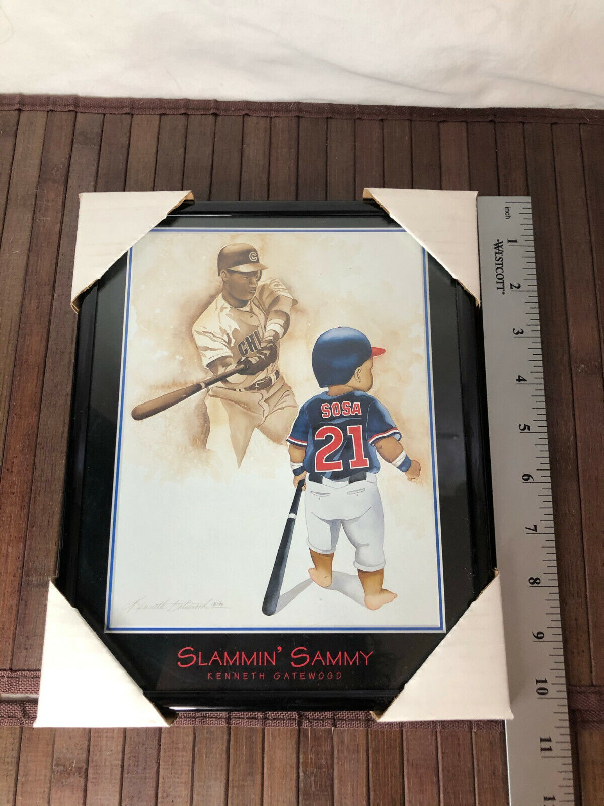 Slammin' Sammy Sosa Kenneth Gatewood 8 x 10 Baseball Print Mylar Frame