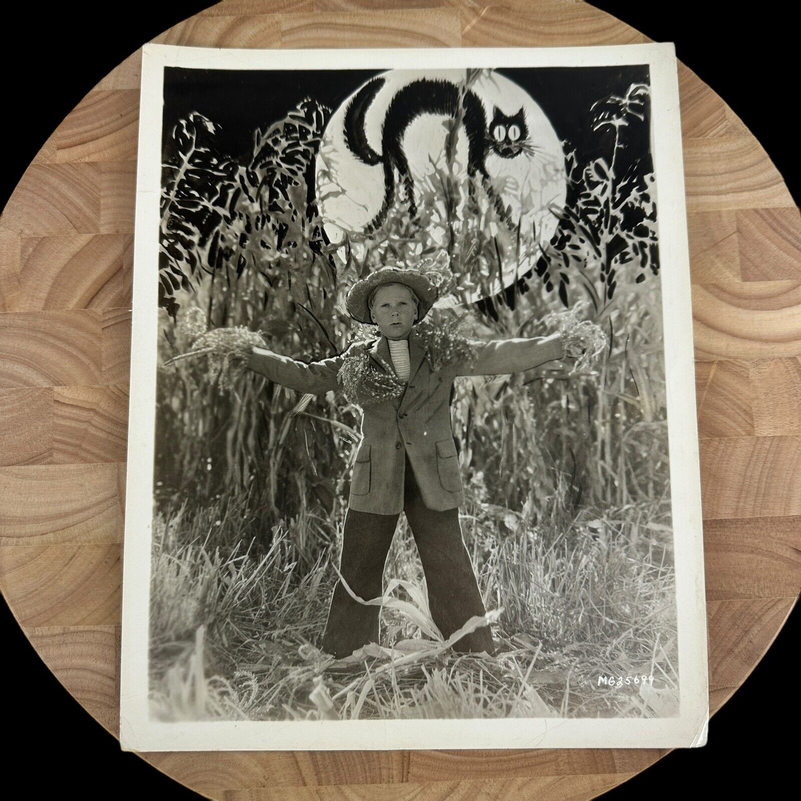 MGM Jackie Cooper halloween cornfield black cat press photo 8 x10 black & white