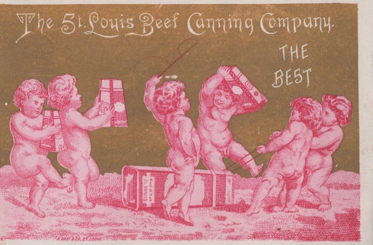 trade card, Lot 2, ST. Louis Beef Canning Company \