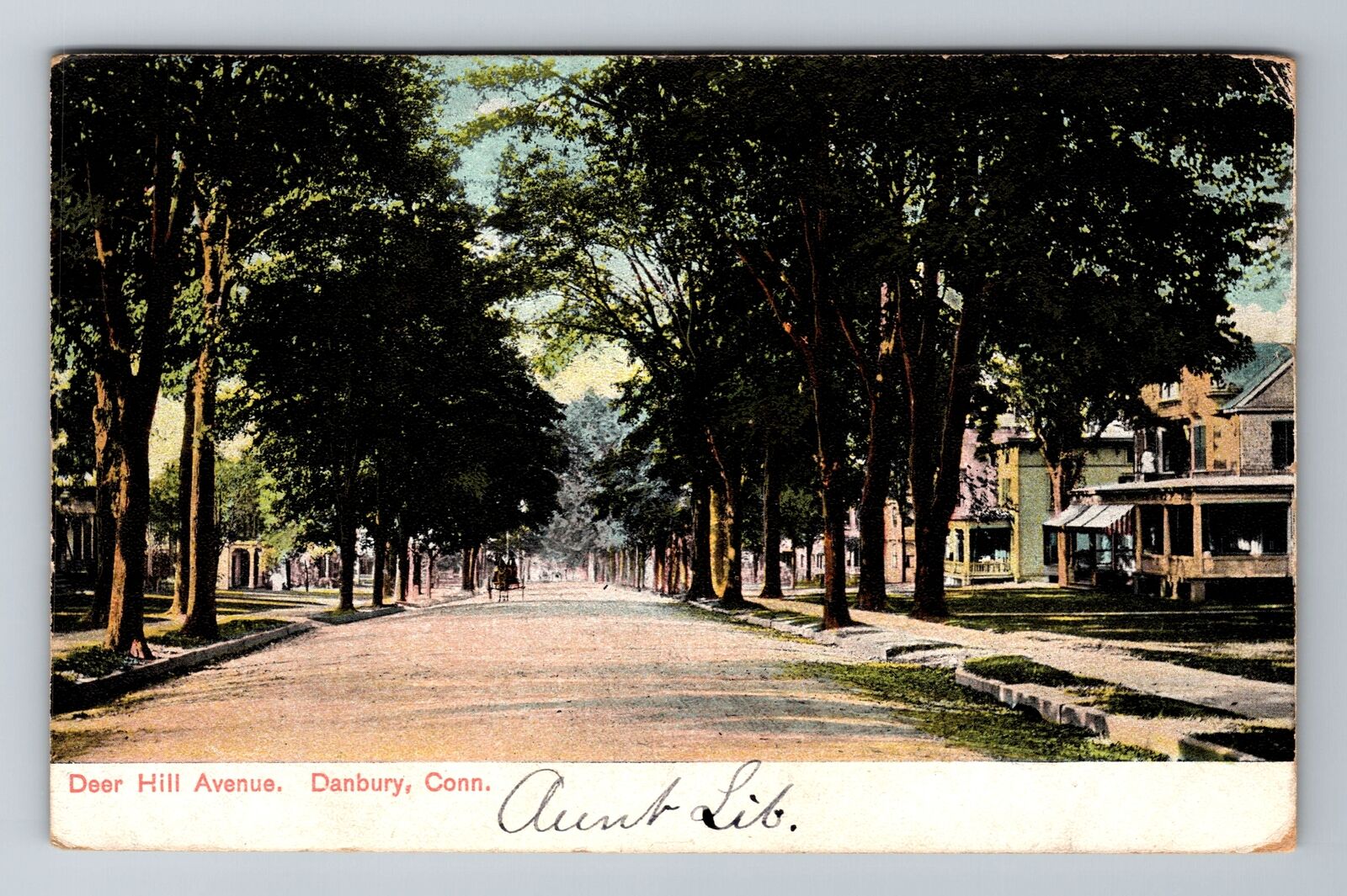 Danbury CT-Connecticut, Deer Hills Avenue, Antique Vintage c1906 Postcard
