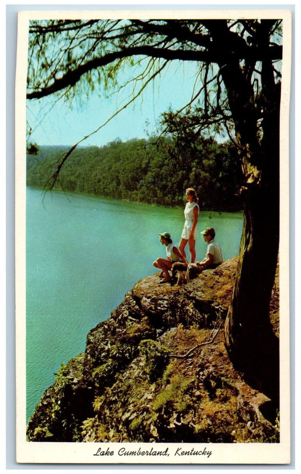 Kentucky KY Postcard People Viewing Lake Cumberland c1950\'s Unposted Vintage