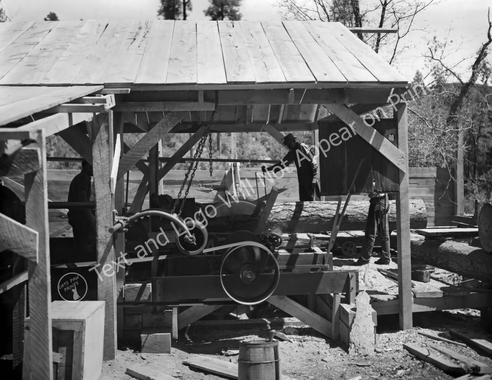 1948 Small Sawmill, Arizona Vintage Old Photo Reprint