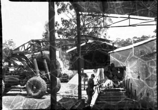 NSW Crane lifting logs, Pelton Mine, New South Wales - Old Photo