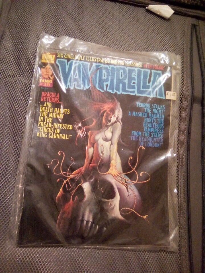 Vampirella #39 Ken Kelly Cover Warren Publishing 1975