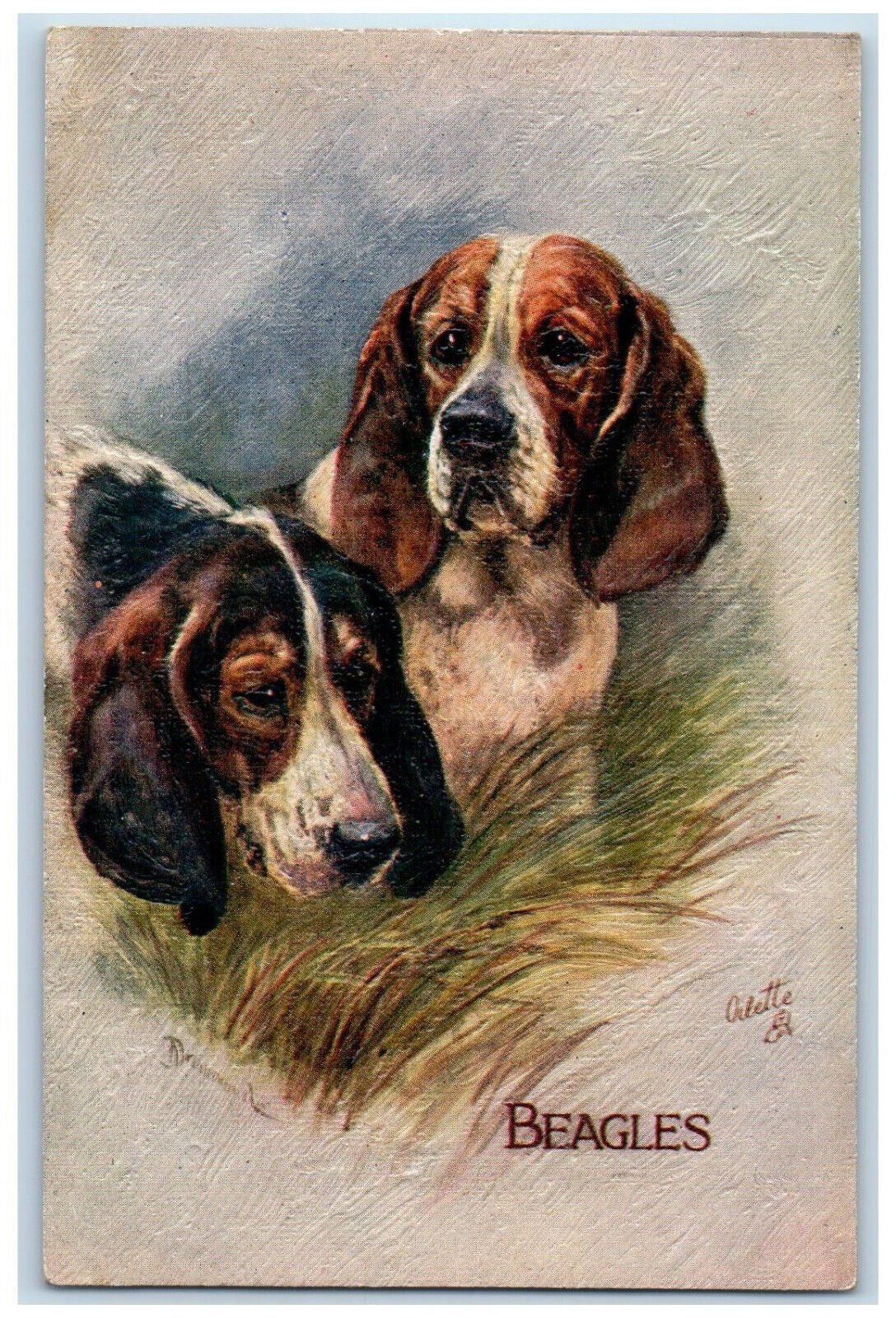 Postcard Two Beagle Dogs Small Kind of a Hound c1910 Oilfacsim Tuck Dogs