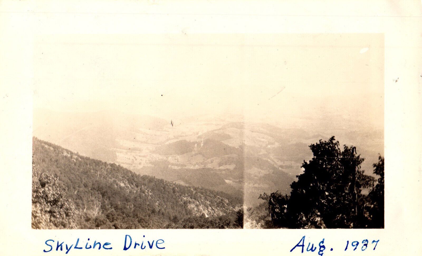 Vtg Found Photo 1937 Skyline Drive Virginia Shenandoah National Park Snapshot