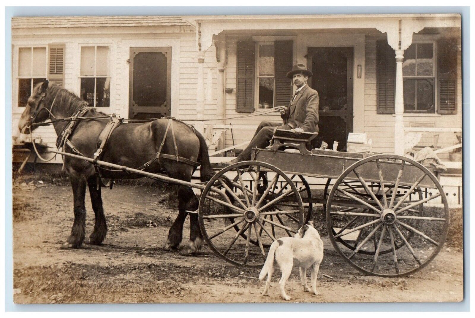 c1910's Man Horse Carriage Dog Dirt Road Unposted Antique RPPC Photo Postcard
