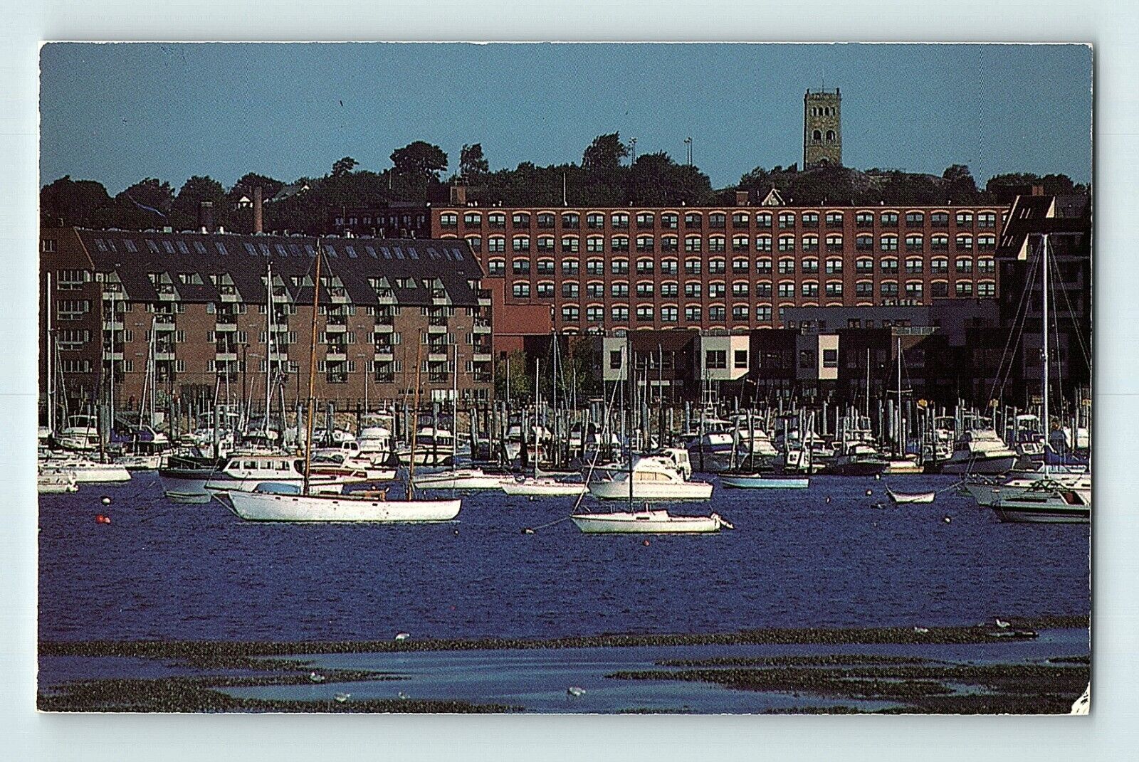 Lynn Harbor Maine Downtown Waterfront Area Bunch of Sailboats Waters Postcard E8