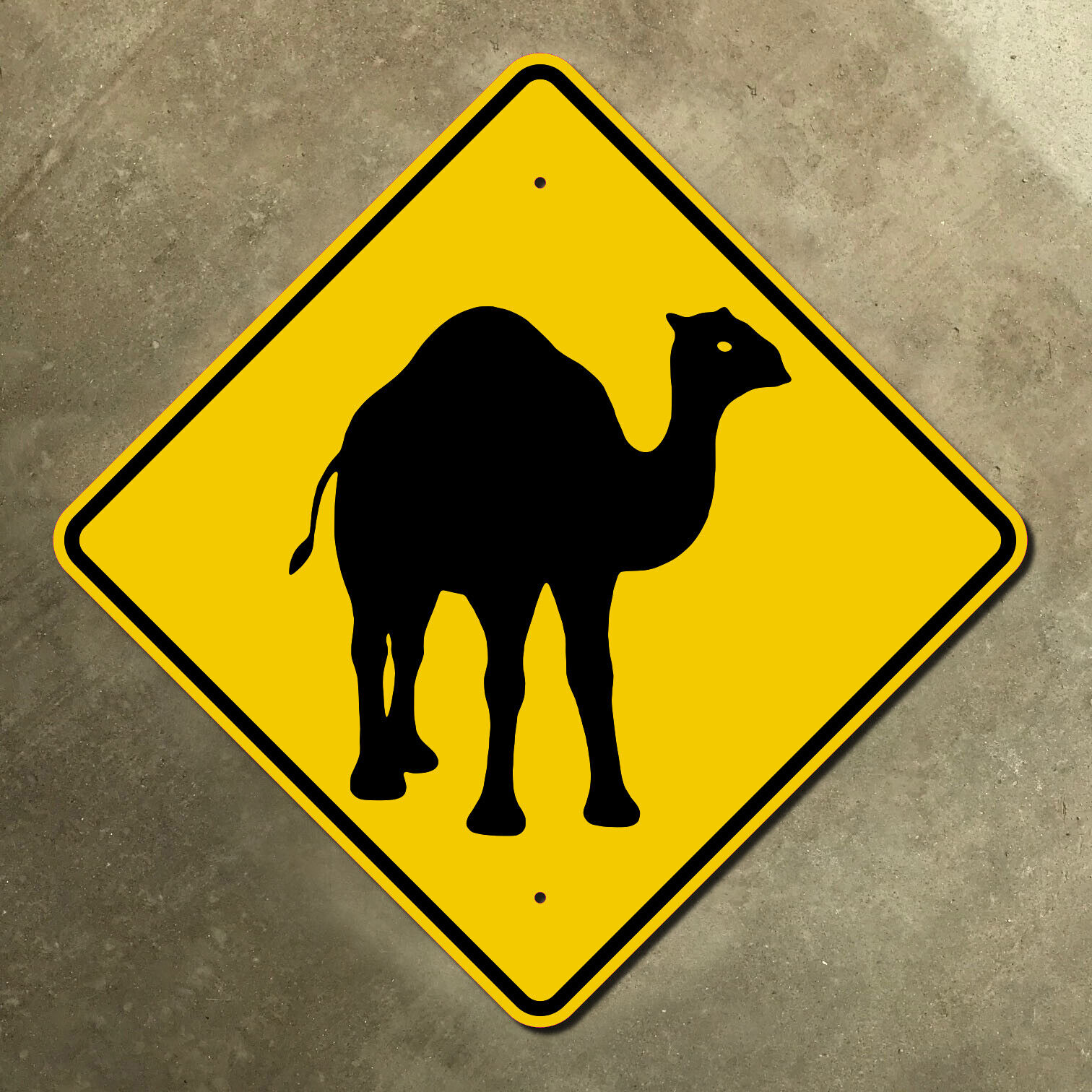 Australia Camel crossing warning highway marker road sign wildlife 12x12