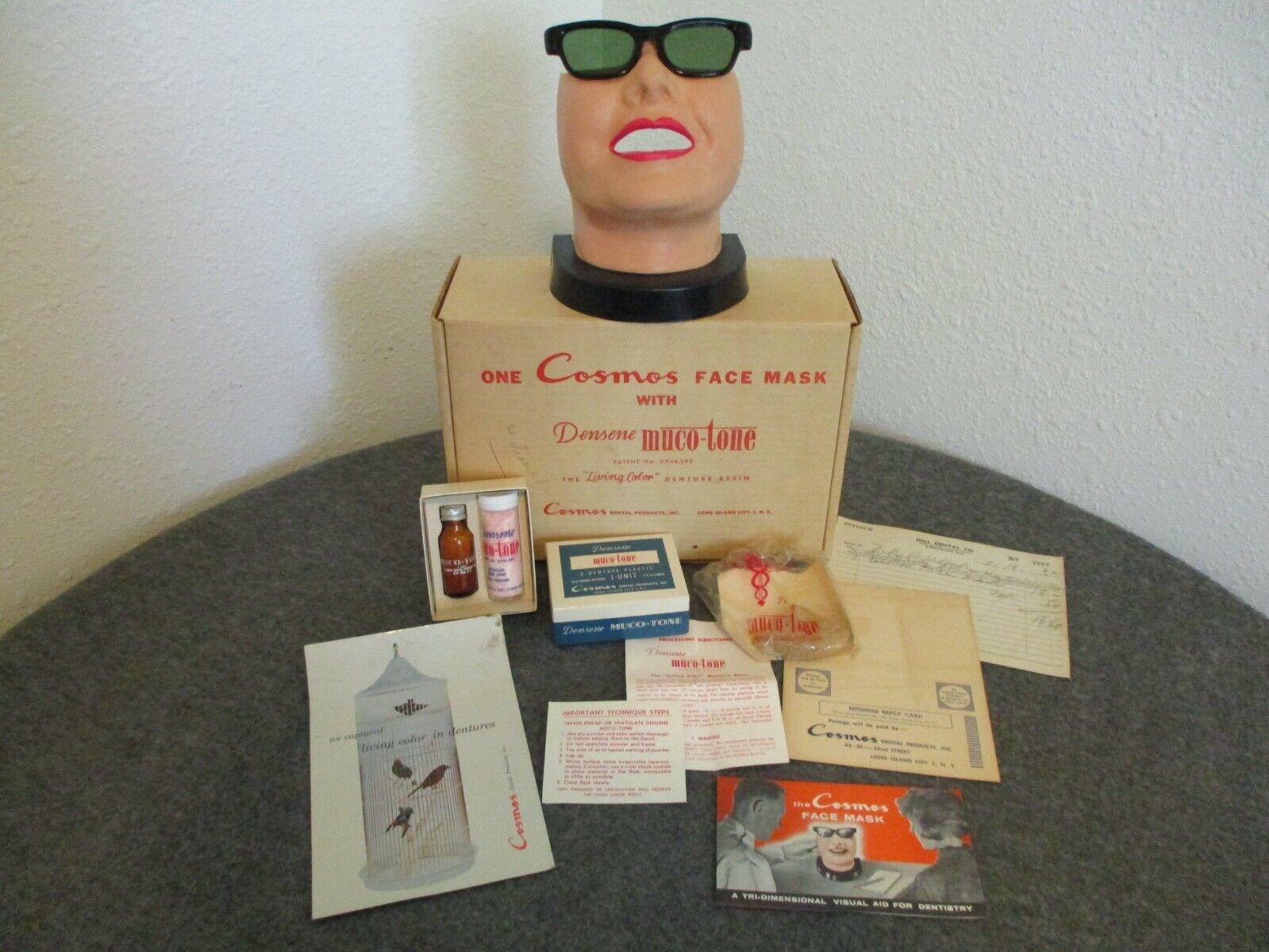 VINTAGE 1962 DENTAL DISPLAY MODEL COSMOS FACE/BUST VISUAL AID FOR DENTISTRY