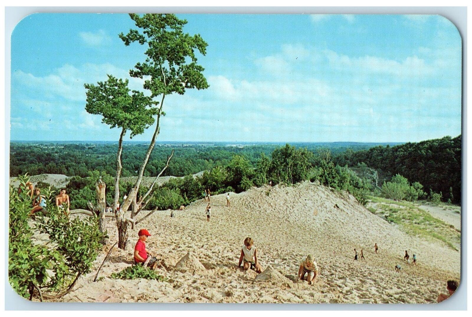 c1960's Golden Sand Dunes Along Shores Majestic Lake Hartland MI Trees Postcard