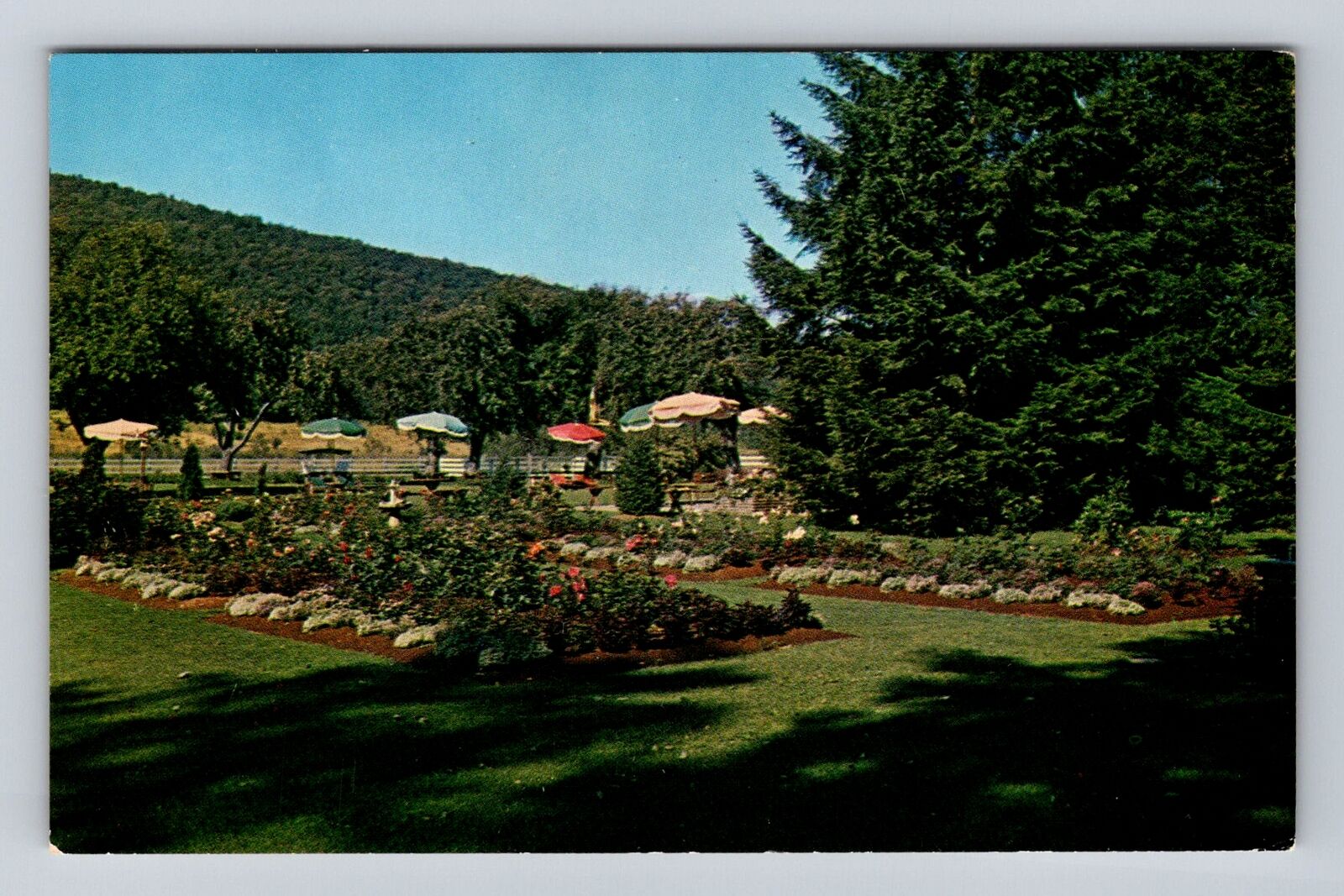 Allegany State Park NY-New York, Red House Inn, Advertising, Vintage Postcard