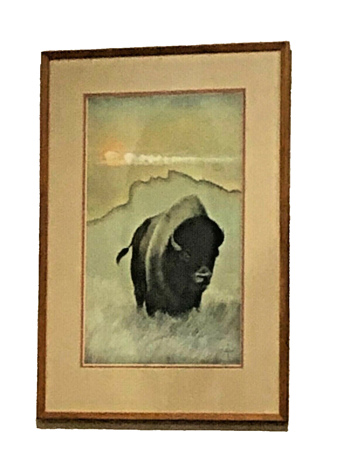 Johnny Tiger '79 Bison Buffalo Limited Edition Native American Art 233/750 Frame