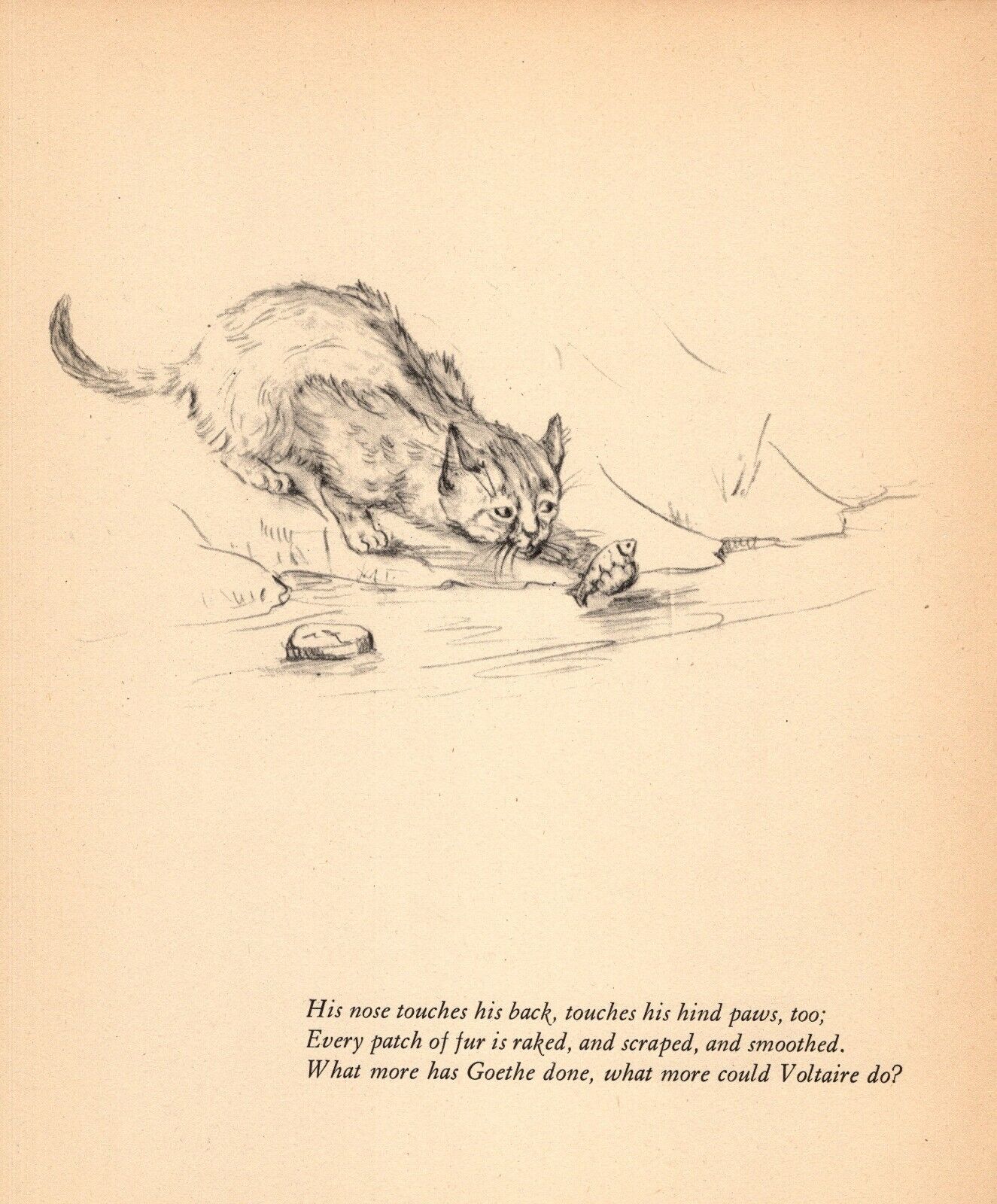 1941 Antique Cat Print Vintage Gladys Emerson Cook Cat Fishing Print 5400j