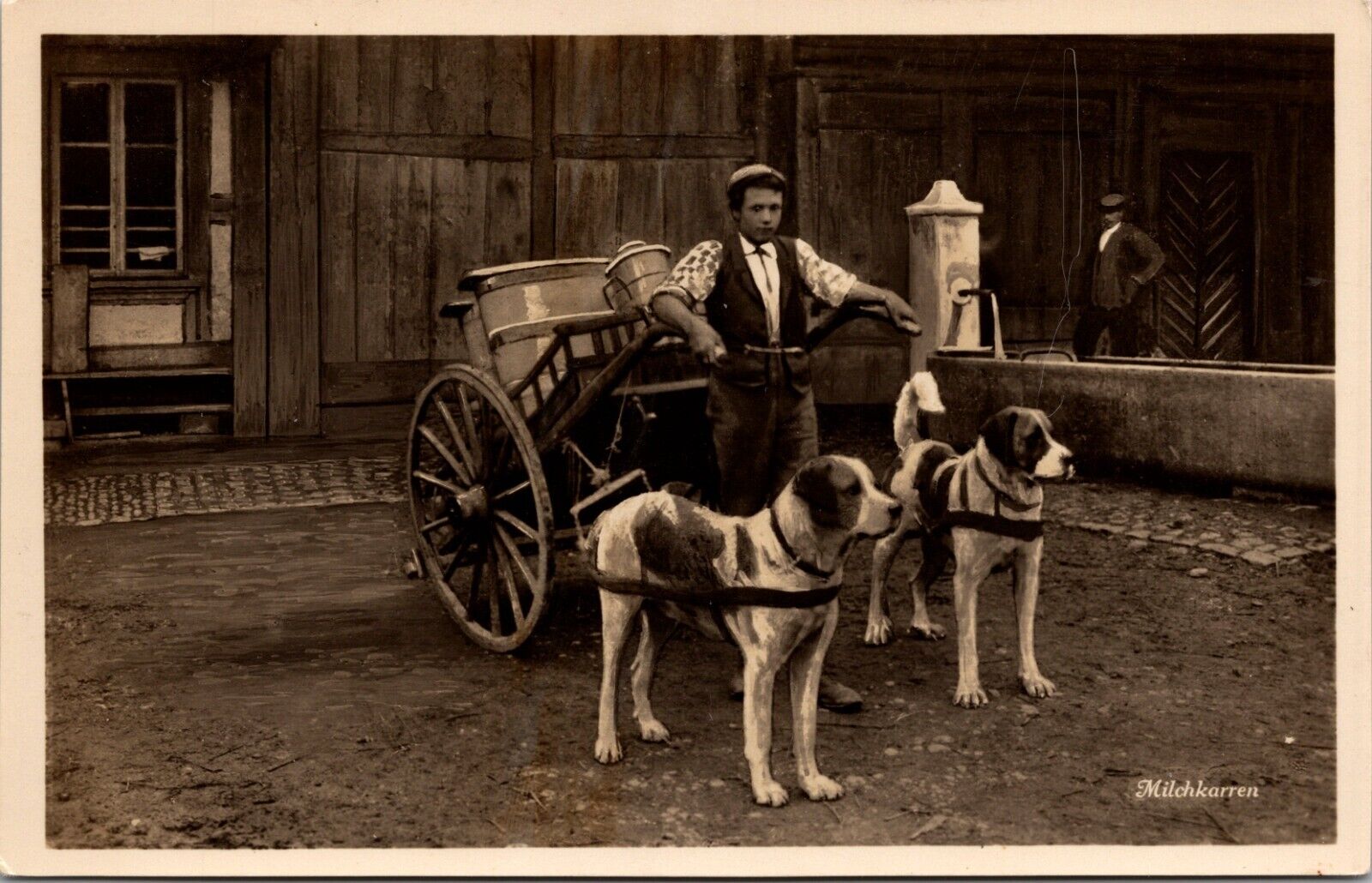 Vintage RPPC Postcard-Switzerland-  Two Dog Milk Cart