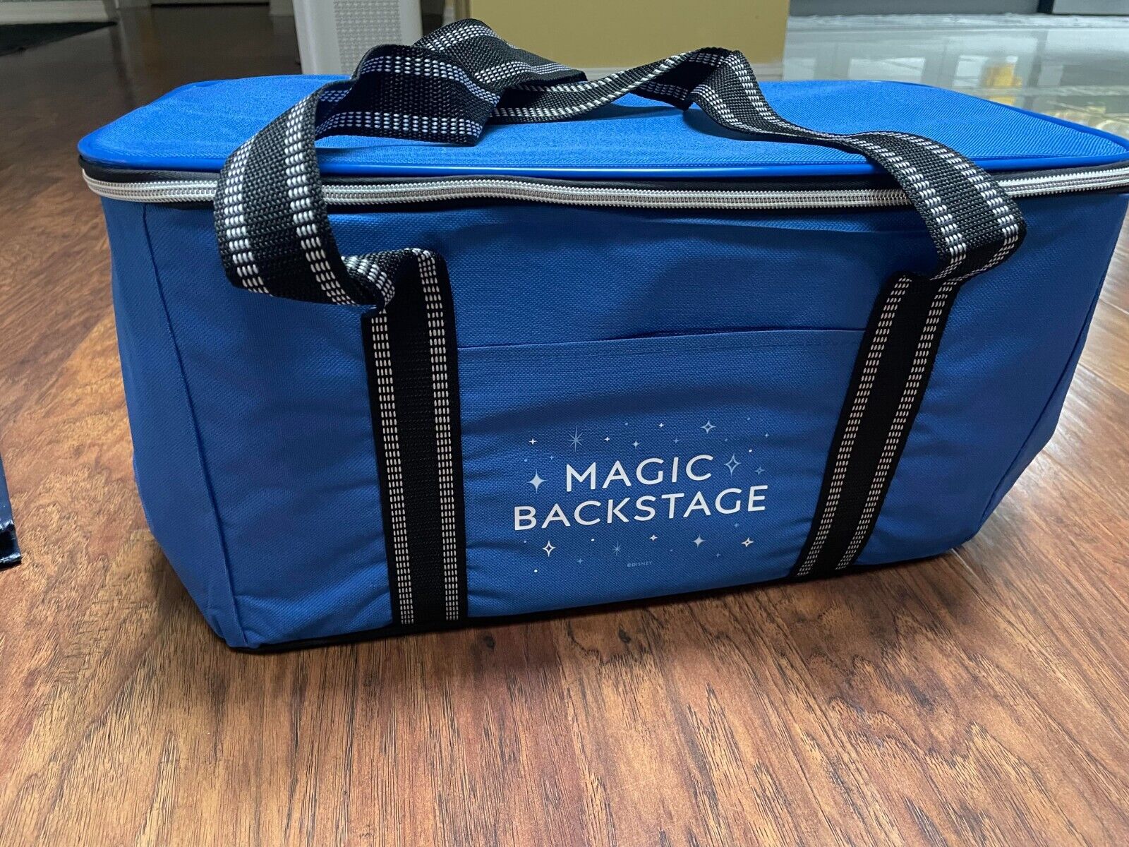 new Disney Cast Member MAGIC BACKSTAGE Pixie Patrol EARidescent Cooler Bag Blue