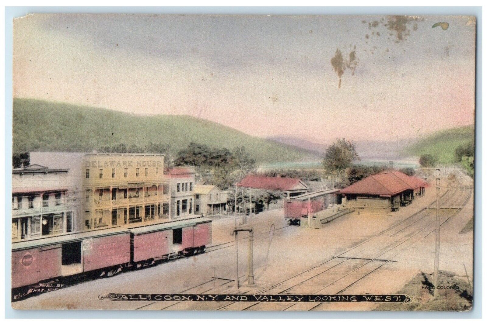 c1910's Callicoon New York NY And Valley Looking West Depot Station Postcard