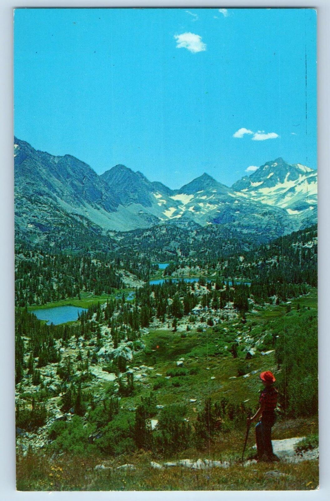 Mono County California CA Postcard Rock Creek Basin Showing Marsh 1967 Vintage