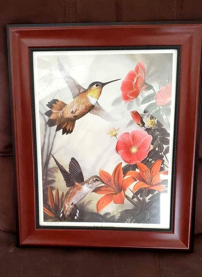 Limited edition rufous hummingbird John Stone print