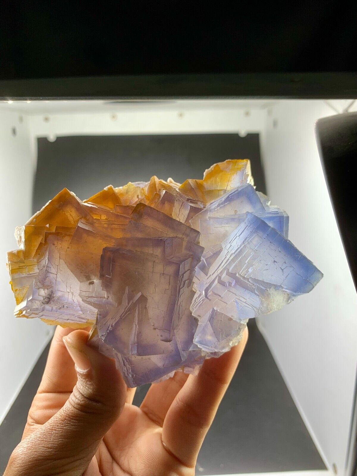 477 Gram Terminated and Undamaged Bluish cubic fluorite Phantom crystal specimen