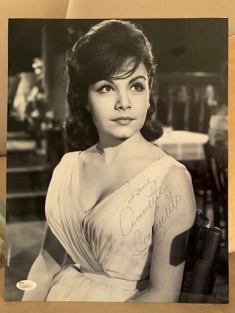 ANNETTE FUNICELLLO HAND SIGNED OVERSIZED 11x14 PHOTO     YOUNG+GORGEOUS     JSA 