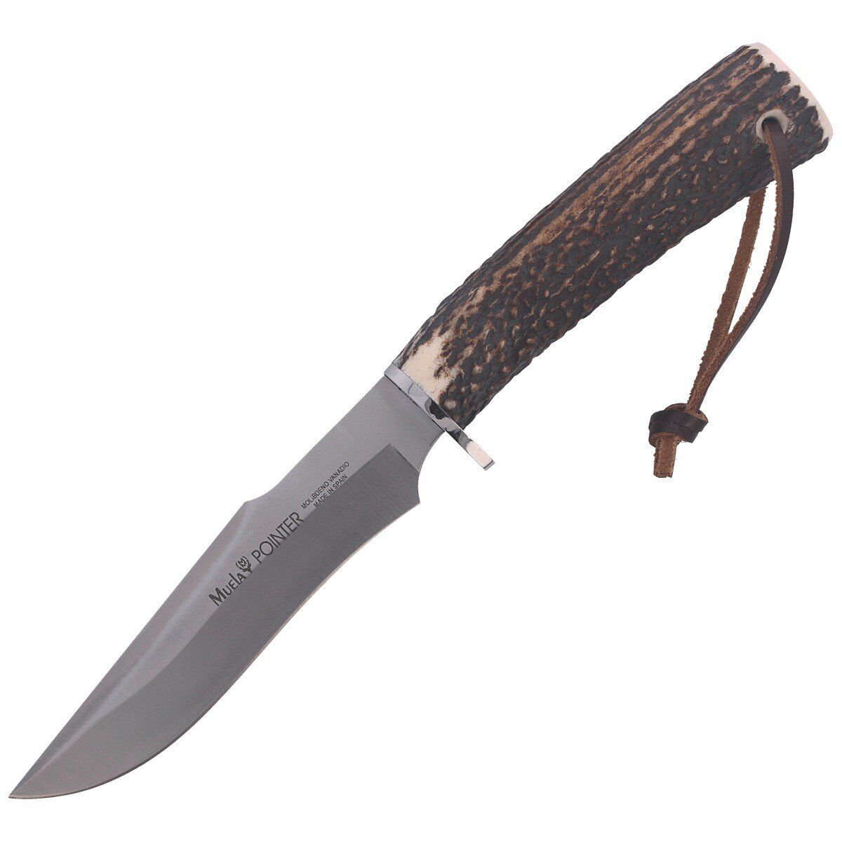 Muela Deer Stag knife (POINTER-13A)