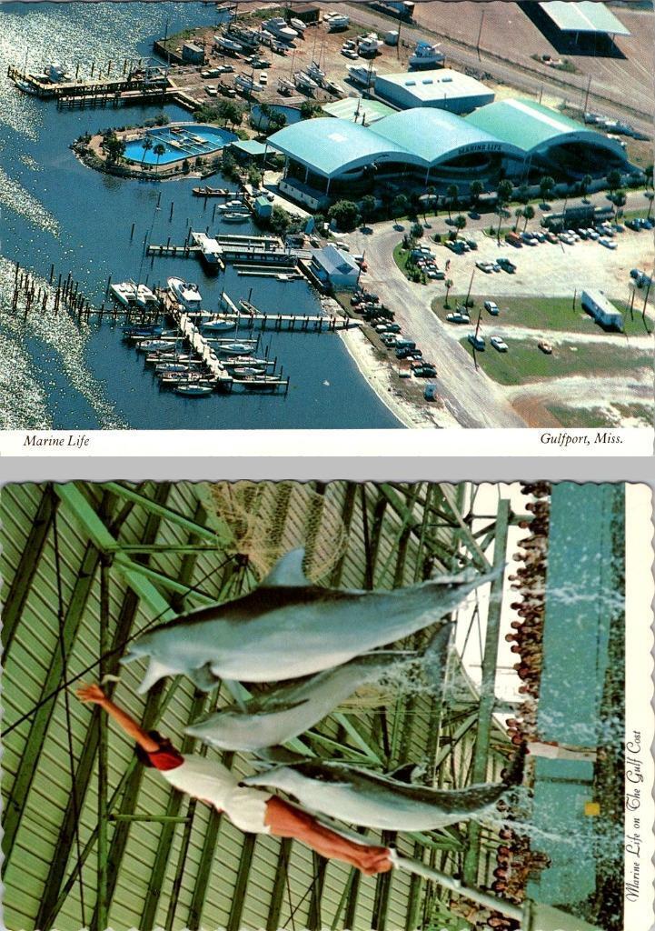 2~4X6 Postcards GULFPORT, MS Mississippi  MARINE LIFE  Animal Park~Dolphin Show