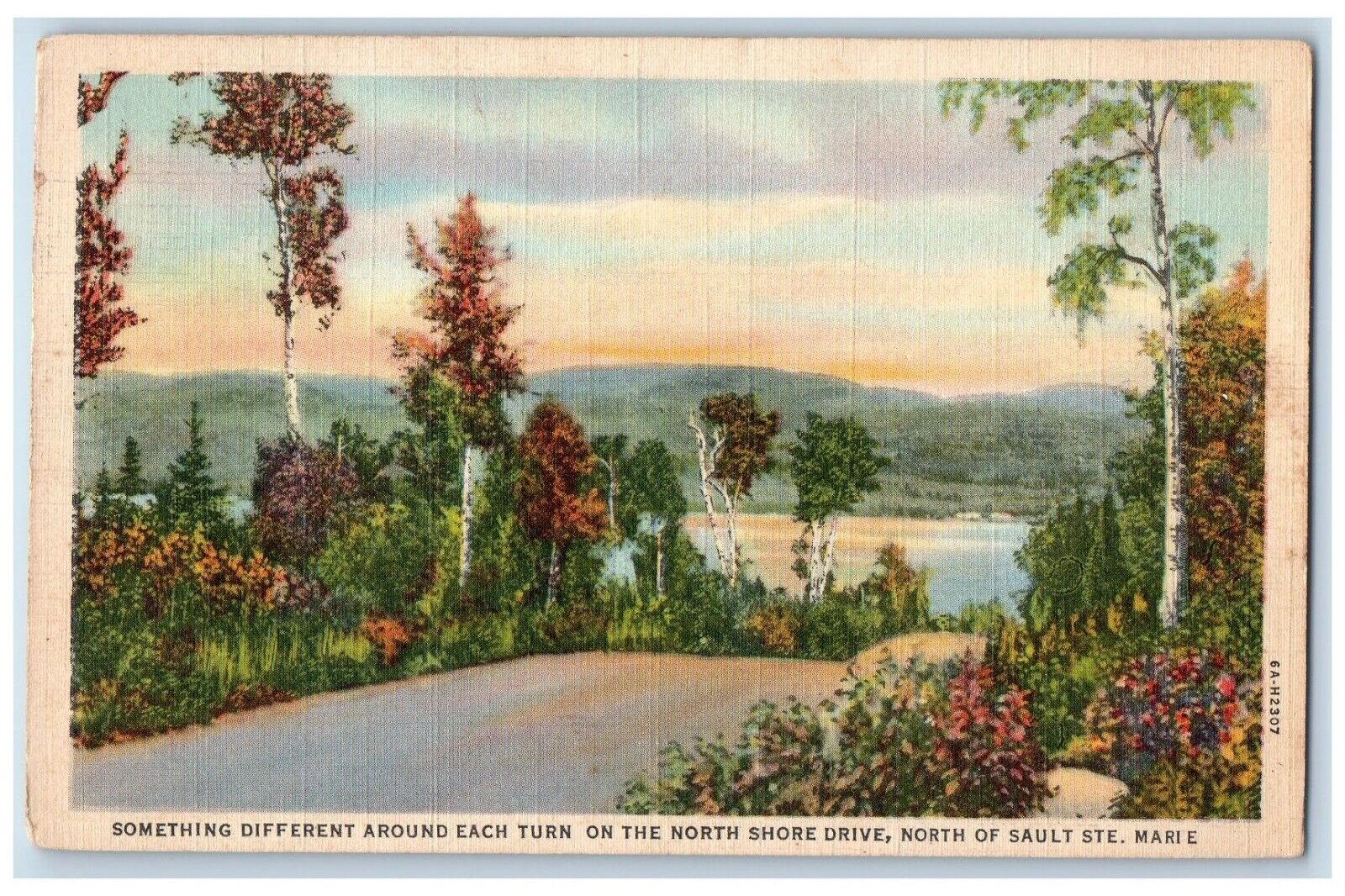 1946 Something Different North Shore Drive Sault Ste. Marie Michigan MI Postcard