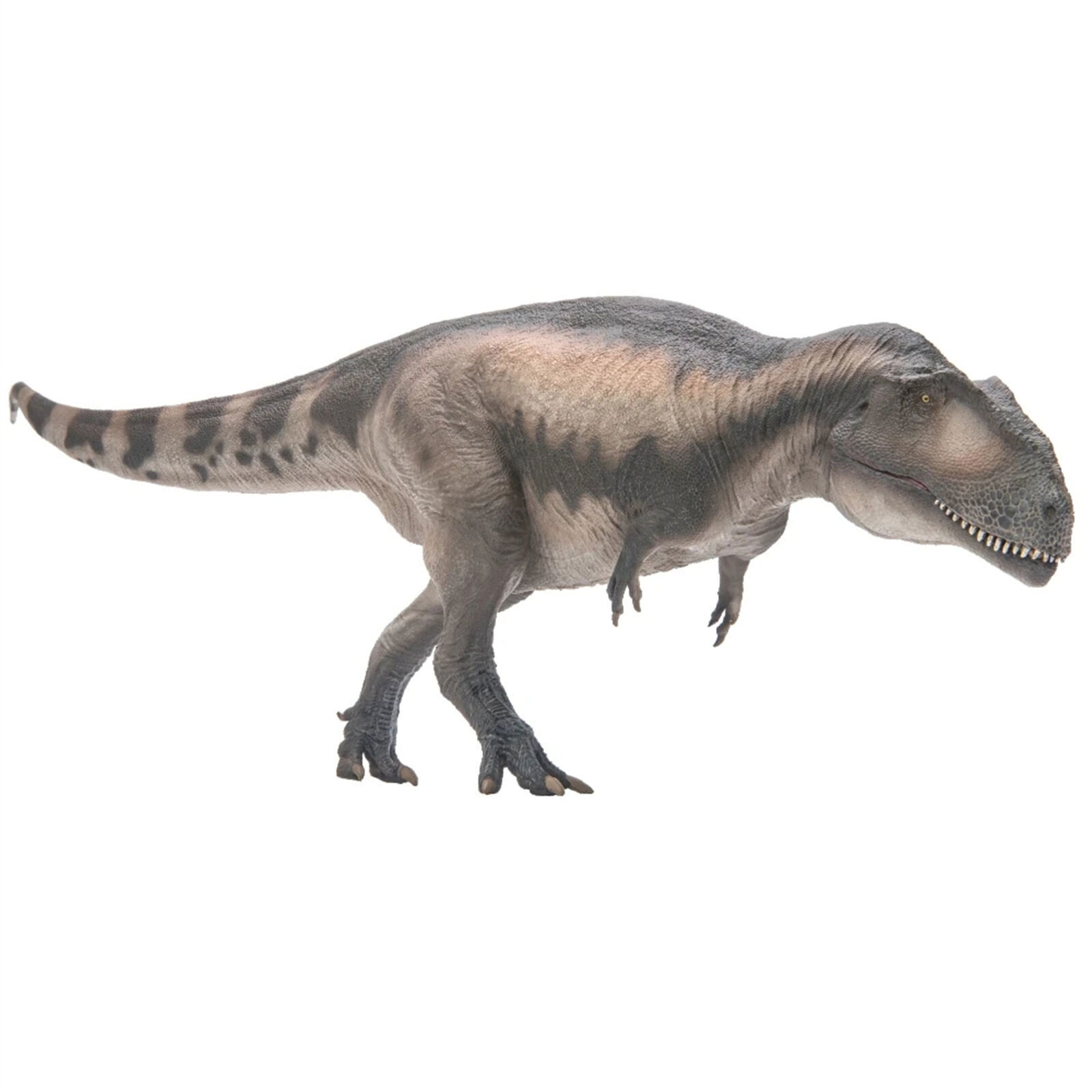 Pnso 68 Mapusaurus Mila Model Prehistoric Animal Dinosaur Collector Decor Gift