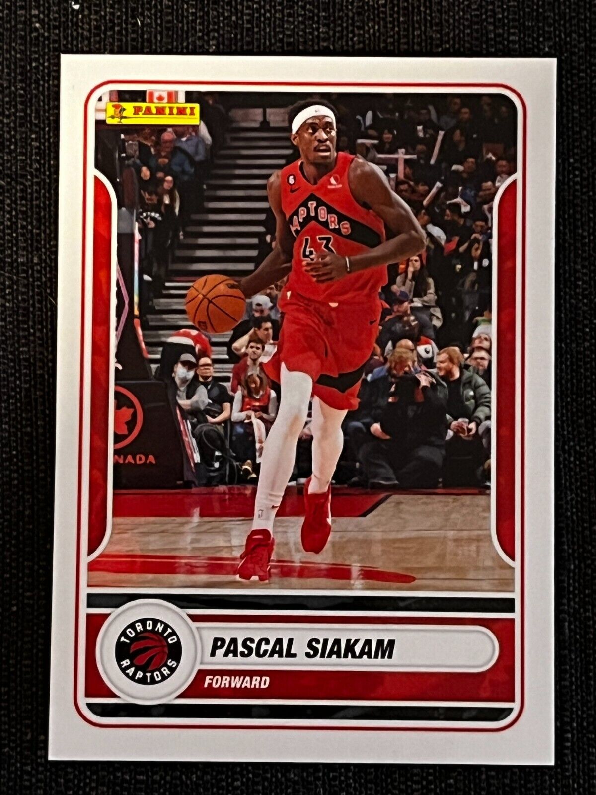 NBA 2023-24 PASCAL SIAKAM TORONTO RAPTORS SANDWICH CARD # 19 NEW