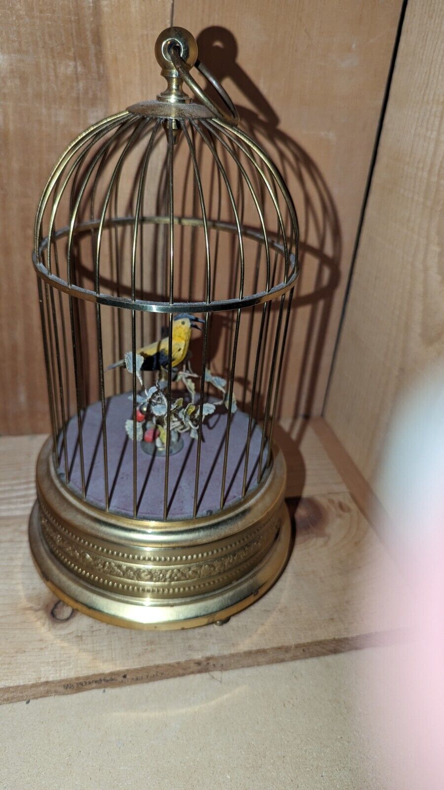 German or French Singing Automaton Bird in Brass Cage. Bontems Griesbaum? 
