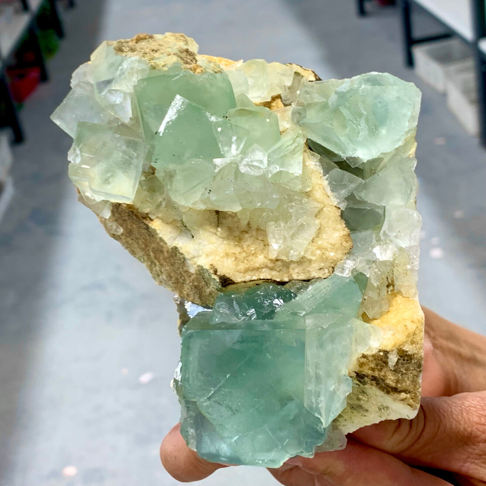 1.67LB Rare green  cubic fluorite mineral crystal sample/China