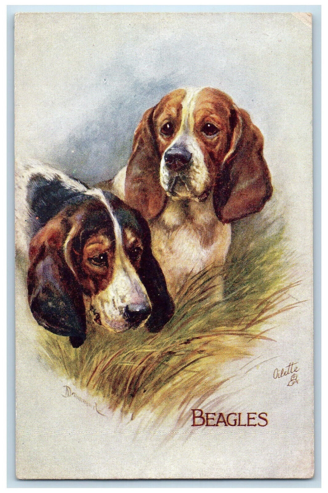 Postcard Favourite Dogs Brown and Black Beagles c1910 Oilette Tuck Dogs
