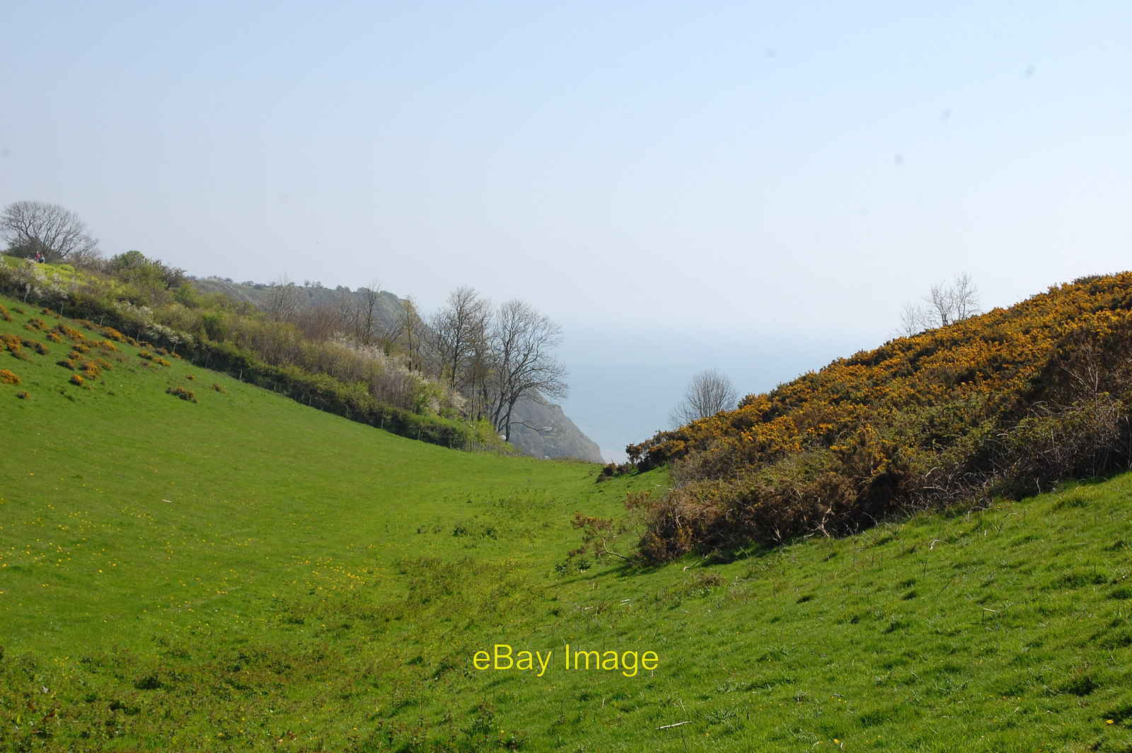 Photo 6x4 Valley by Coxe\'s Cliff Weston The South West Coast Path takes a c2014
