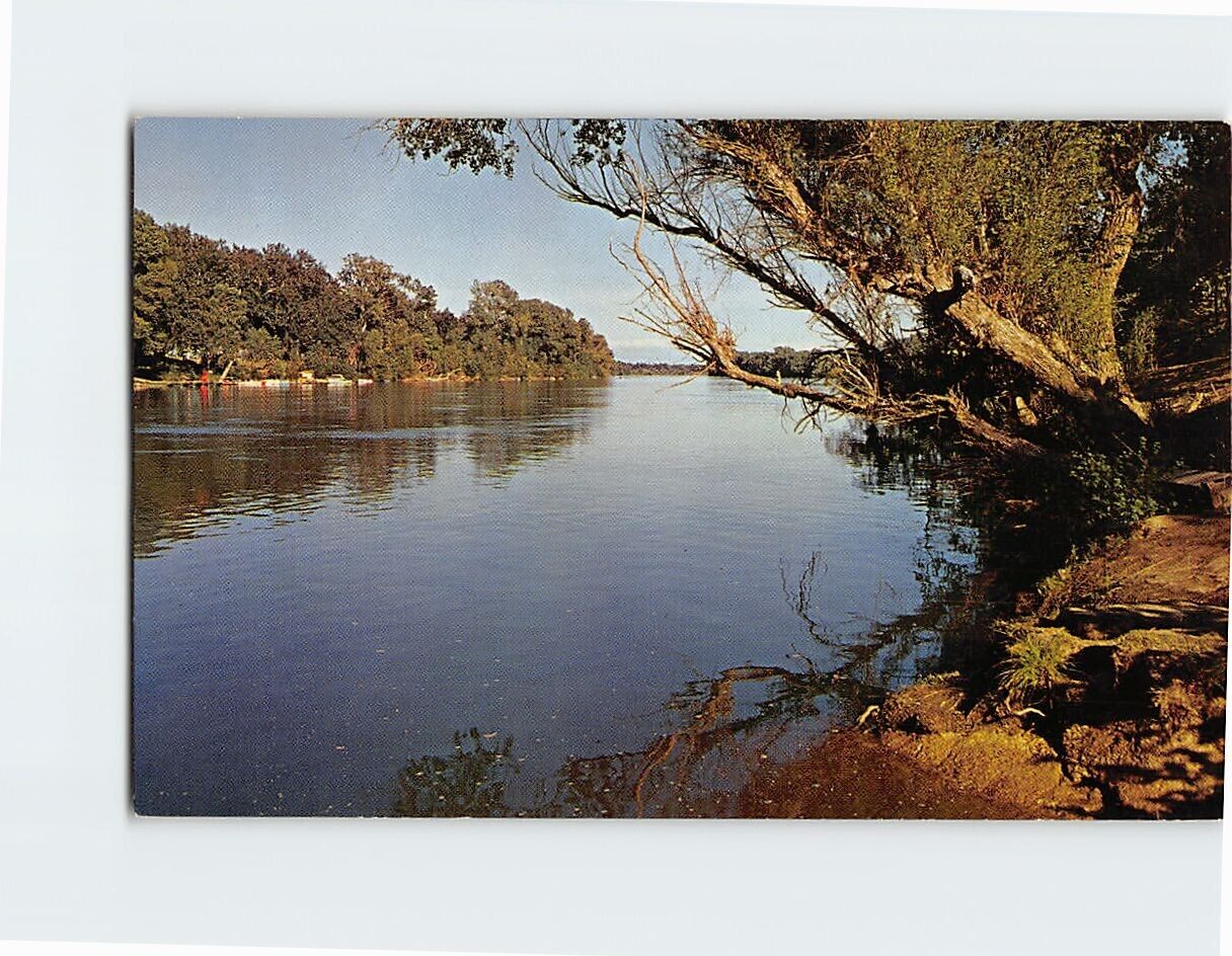 Postcard The Sacramento River California USA