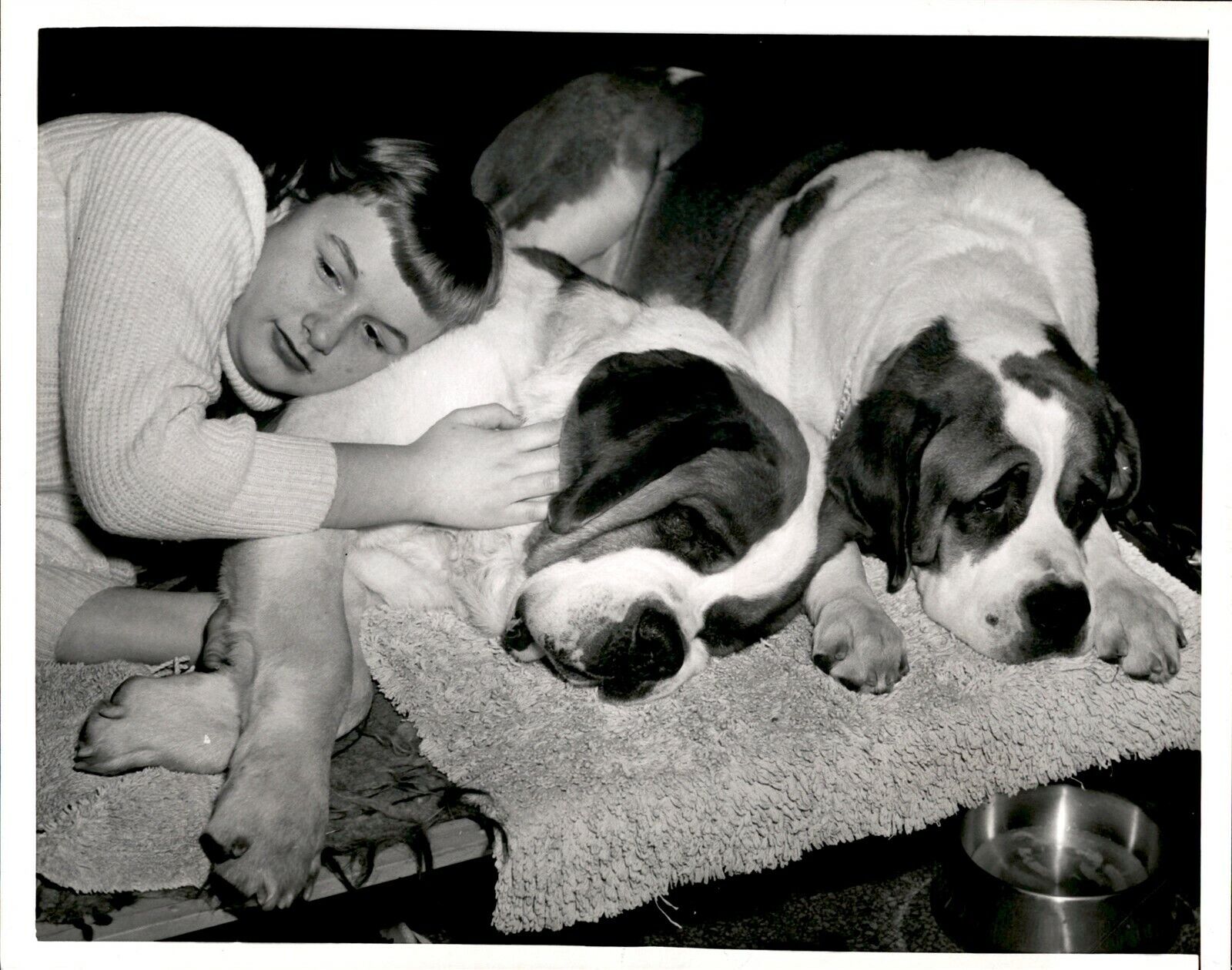 GA103 1954 Original Photo CHAMPION PILLOW Girl Laying on St Bernard Loyal Dog