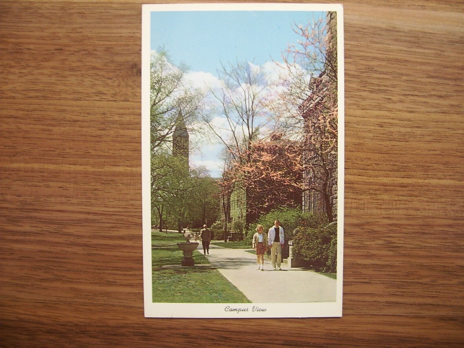 Campus View At Cornell University Ithaca, New York Vintage Postcard Unposted