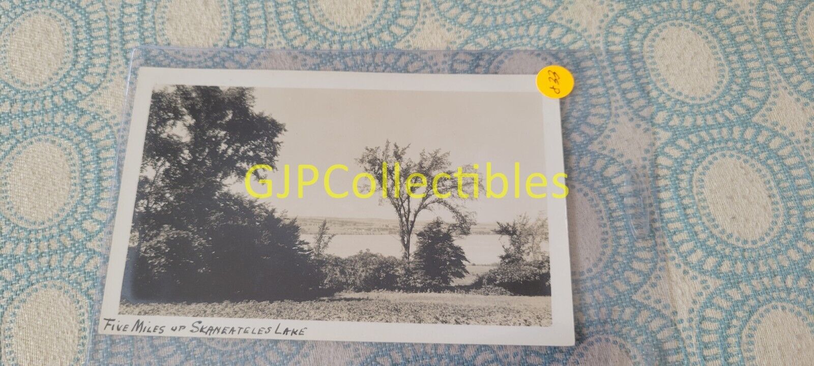 EEP VINTAGE PHOTOGRAPH Spencer Lionel Adams SKANEATELES NY FIVE MILES OF LAKE