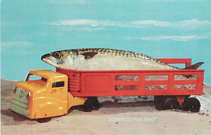 Vintage Structo Toy Truck Fish That Didn't Get Away Postcard 1950's Unused