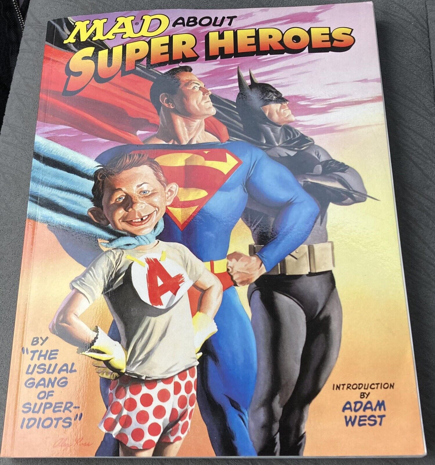 Mad about Super Heroes by Usual Gang of Idiots 2002 Mad Magazine 1ST Edition VG