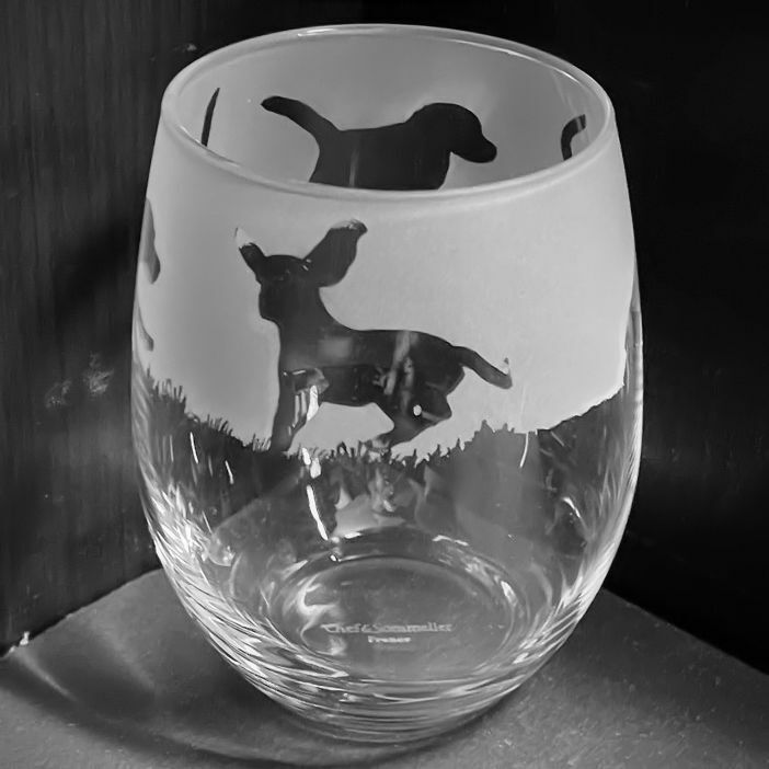 BEAGLE Frieze Boxed 36cl Crystal Stemless Wine / Water Glass