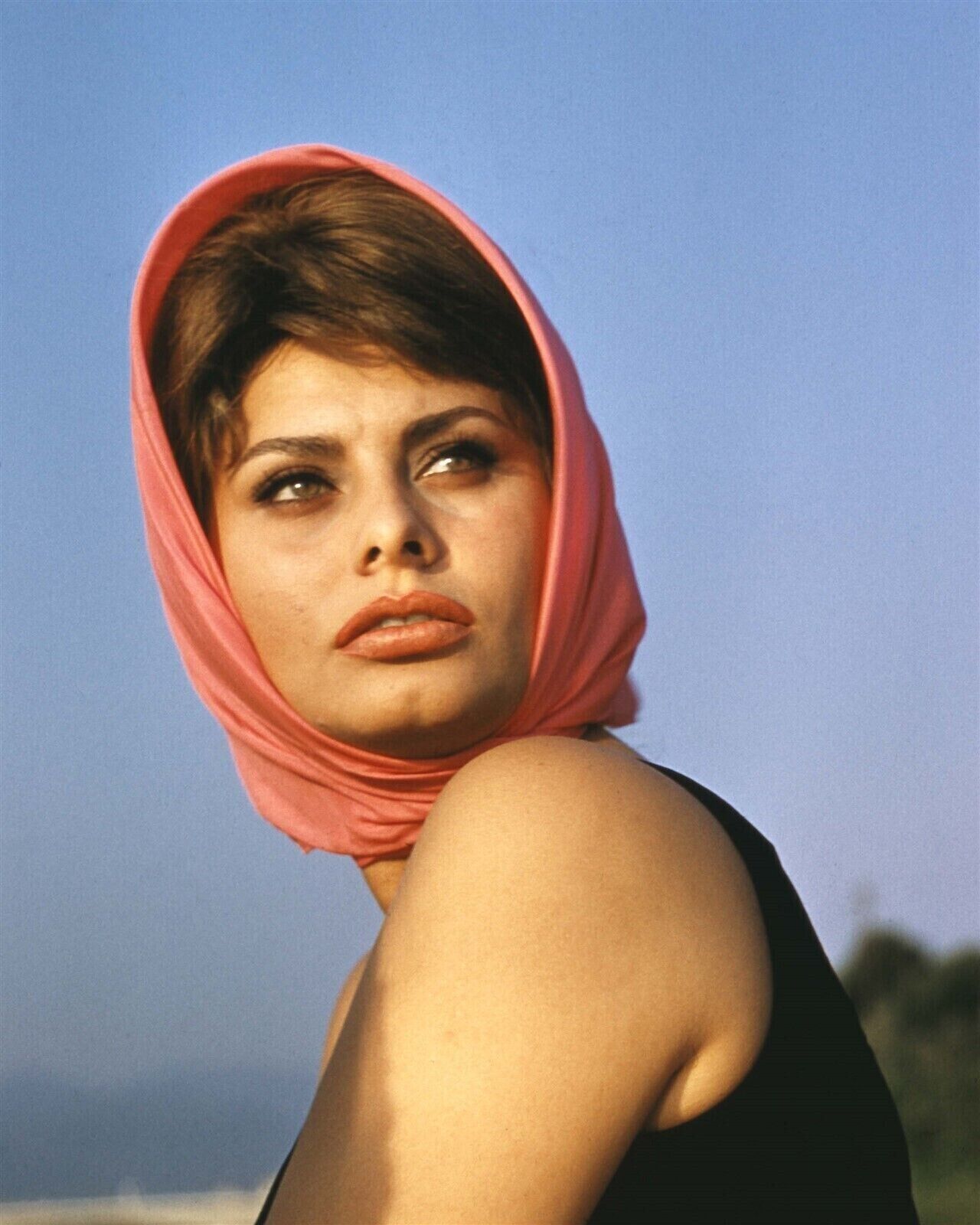 Sophia Loren gorgeous portrait early 1960\'s wearing pink head scarf 4x6 photo