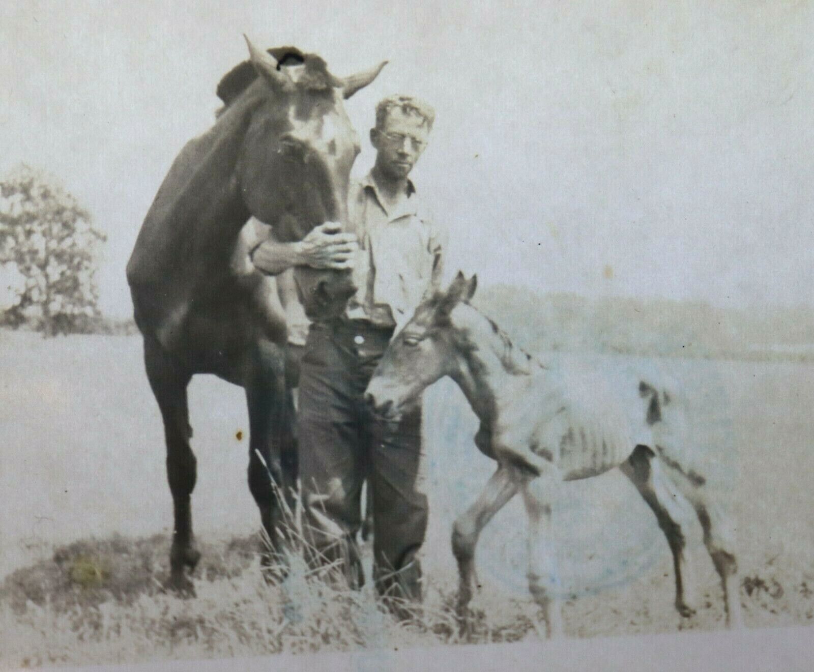 Vintage 1938 Photo Man Farmer With Horse & Emaciated Starving Foal Colt Pony