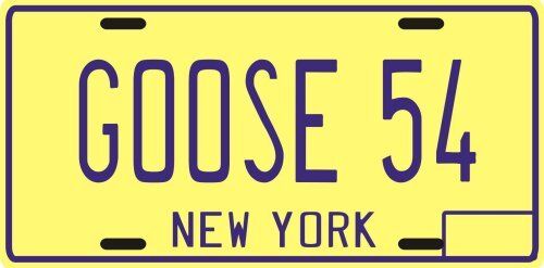 Goose Gossage New York Yankees 1978 New York License plate