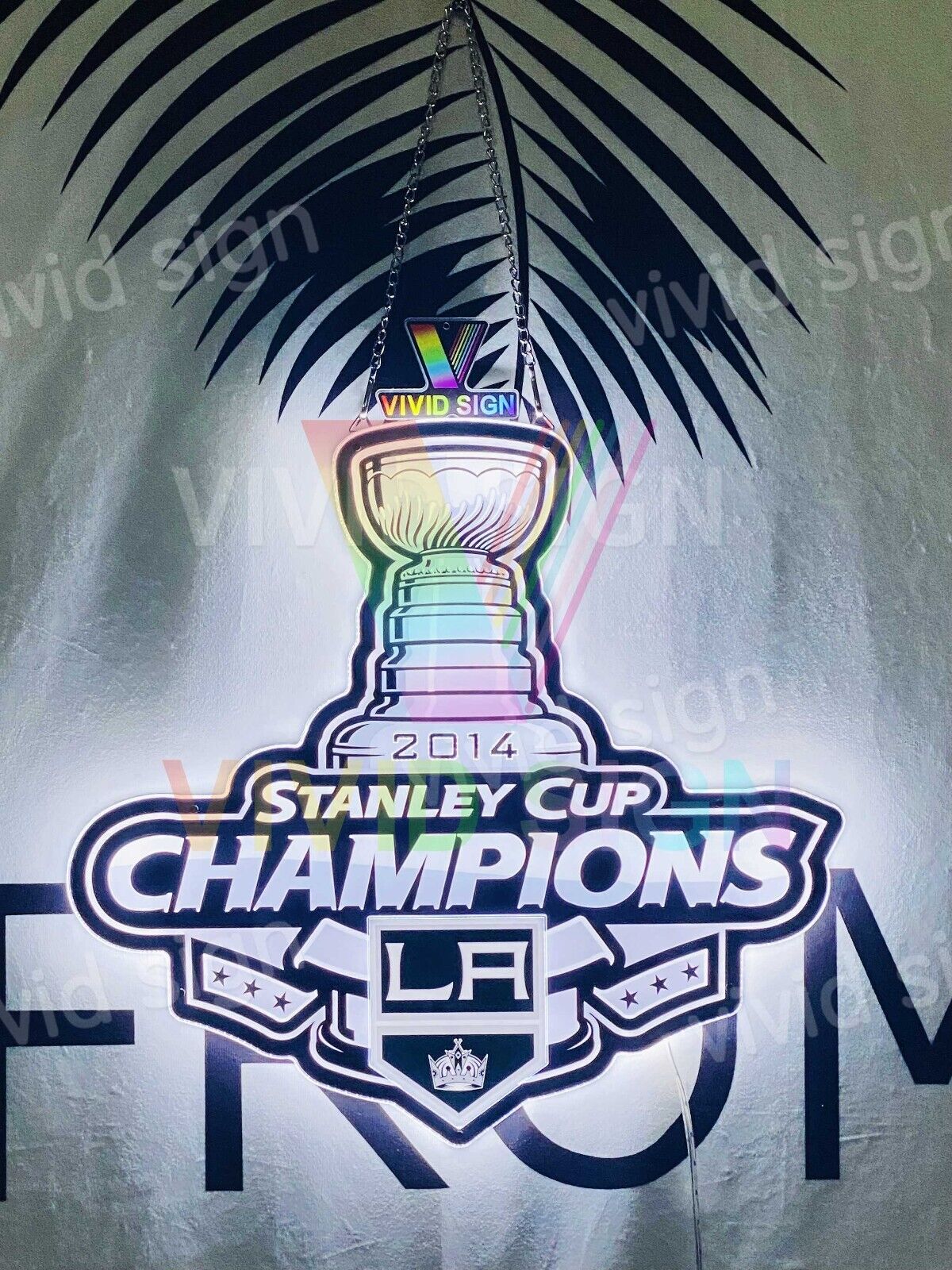 Los Angeles Kings 2014 Champions 3D LED 16\