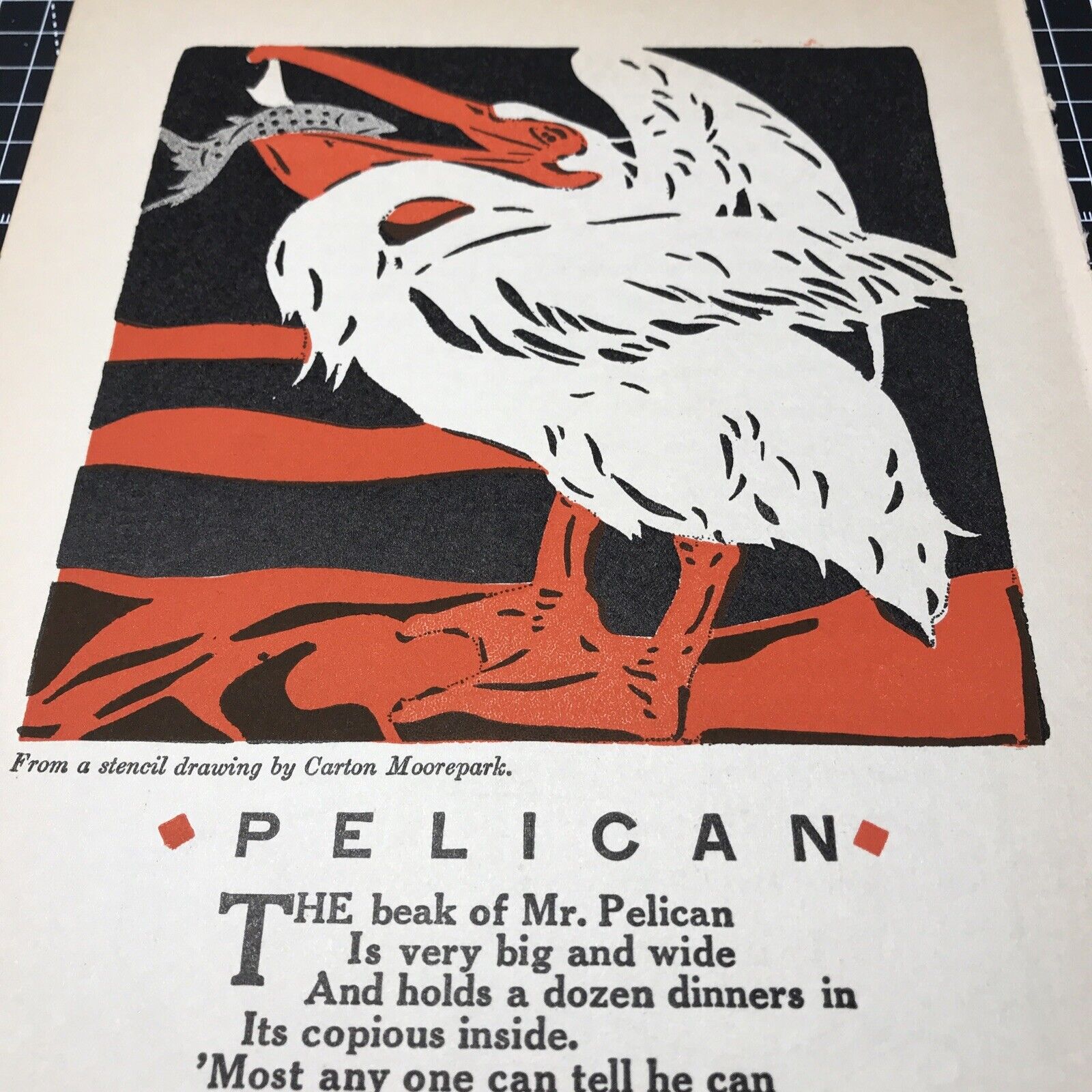 The Beak of Mr Pelican Poem eats fishes Vintage whimsical book illustration