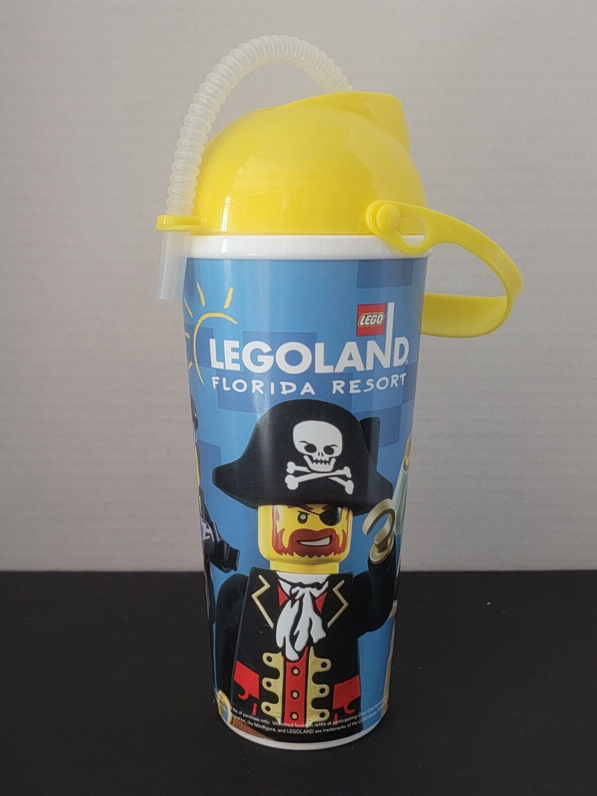 Legoland Florida Resort 2018 Travel Souvenir Drinking Bottle Cup w 11\