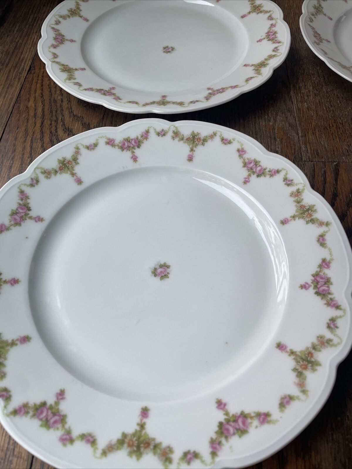Vintage Plates Rose by MZ Austria Set Of 8, 9” Scalloped Plate Rose China