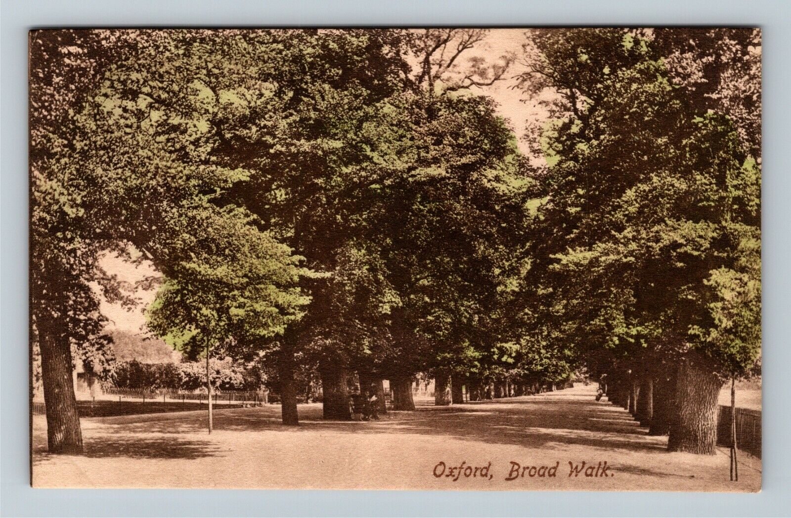 Oxford, UK-United Kingdom, Broad Walk, Vintage Postcard